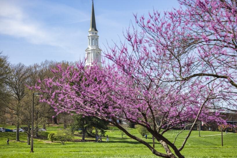 Image of campus in spring