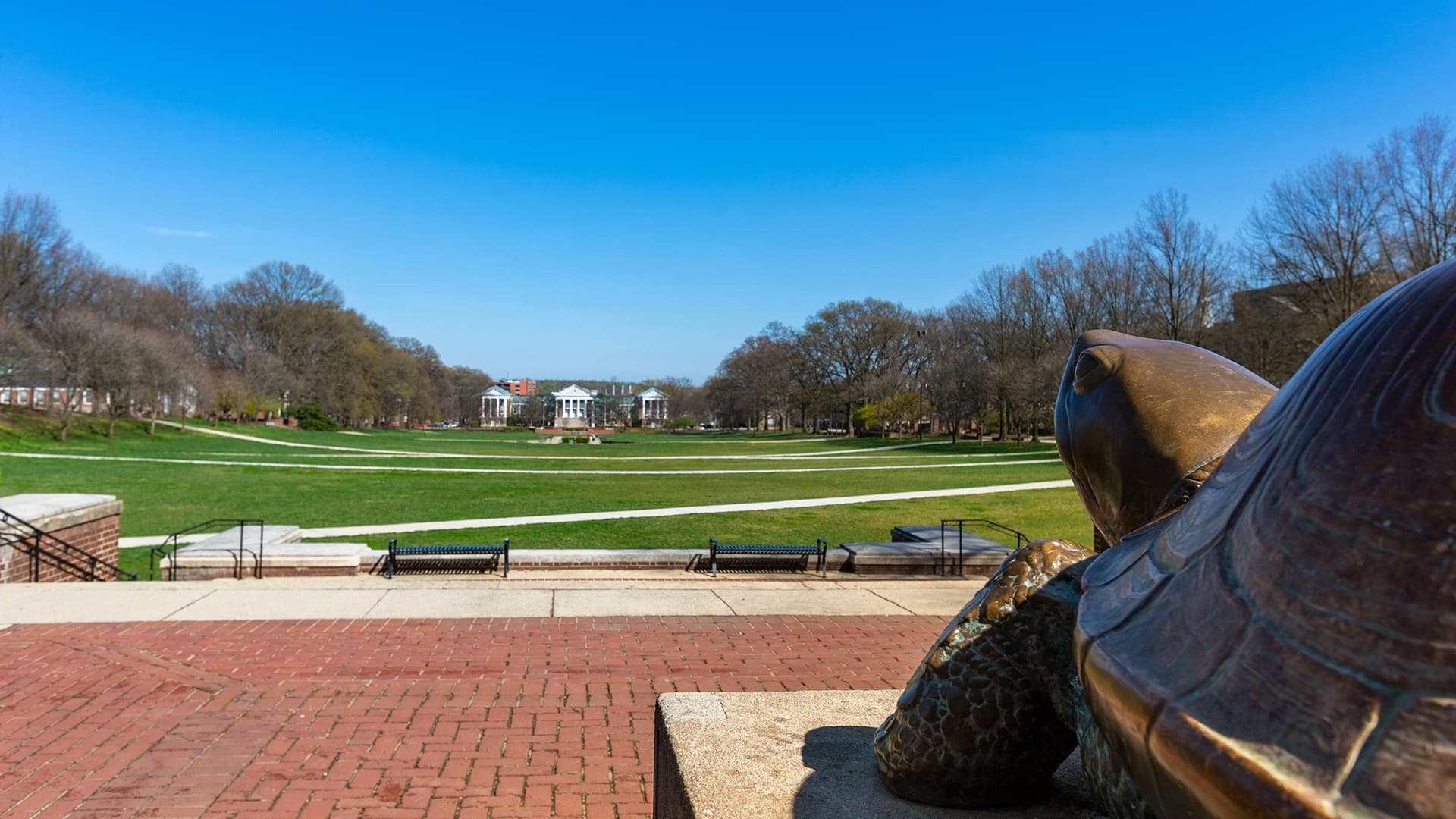 Testudo, the bronze statue, basking in the sun of a clear blue day, as they look over the wide green lawns of Mckeldin Mall