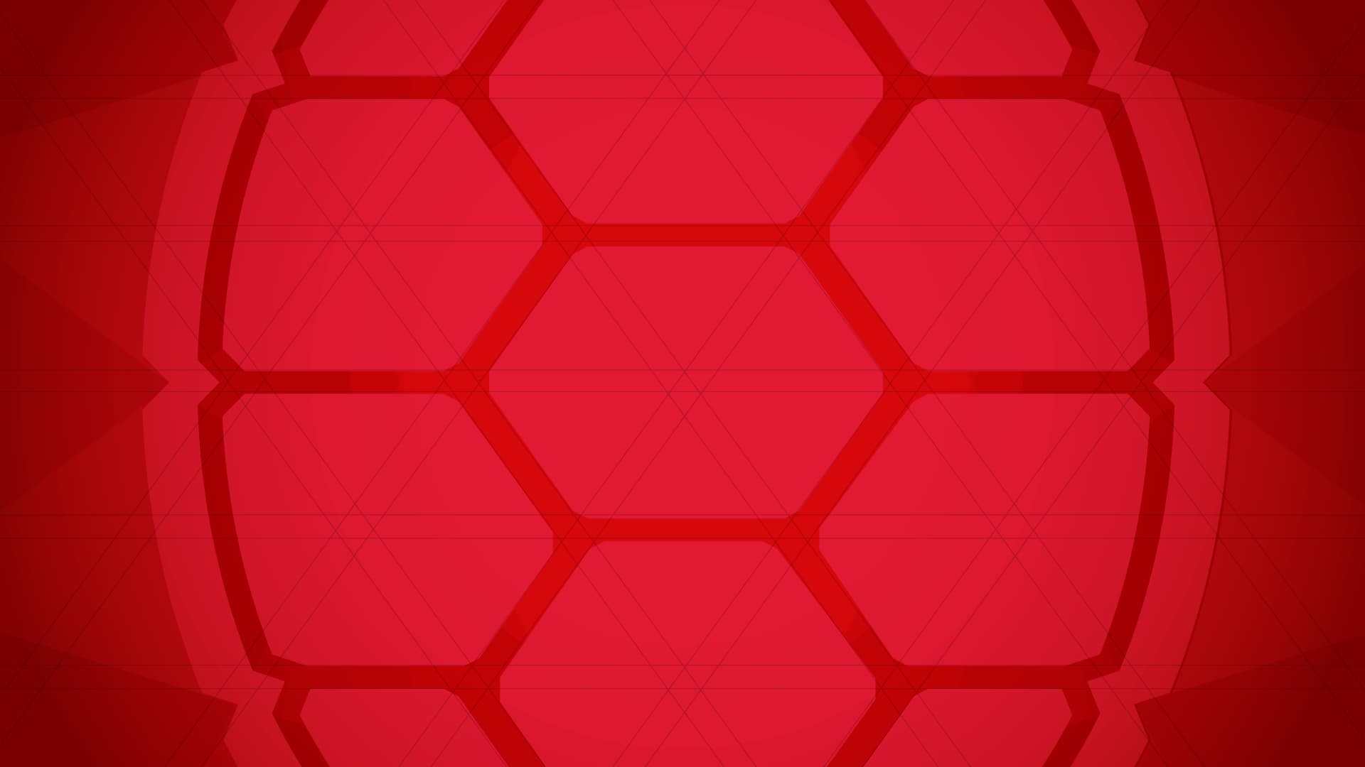 Turtle shell on red background.