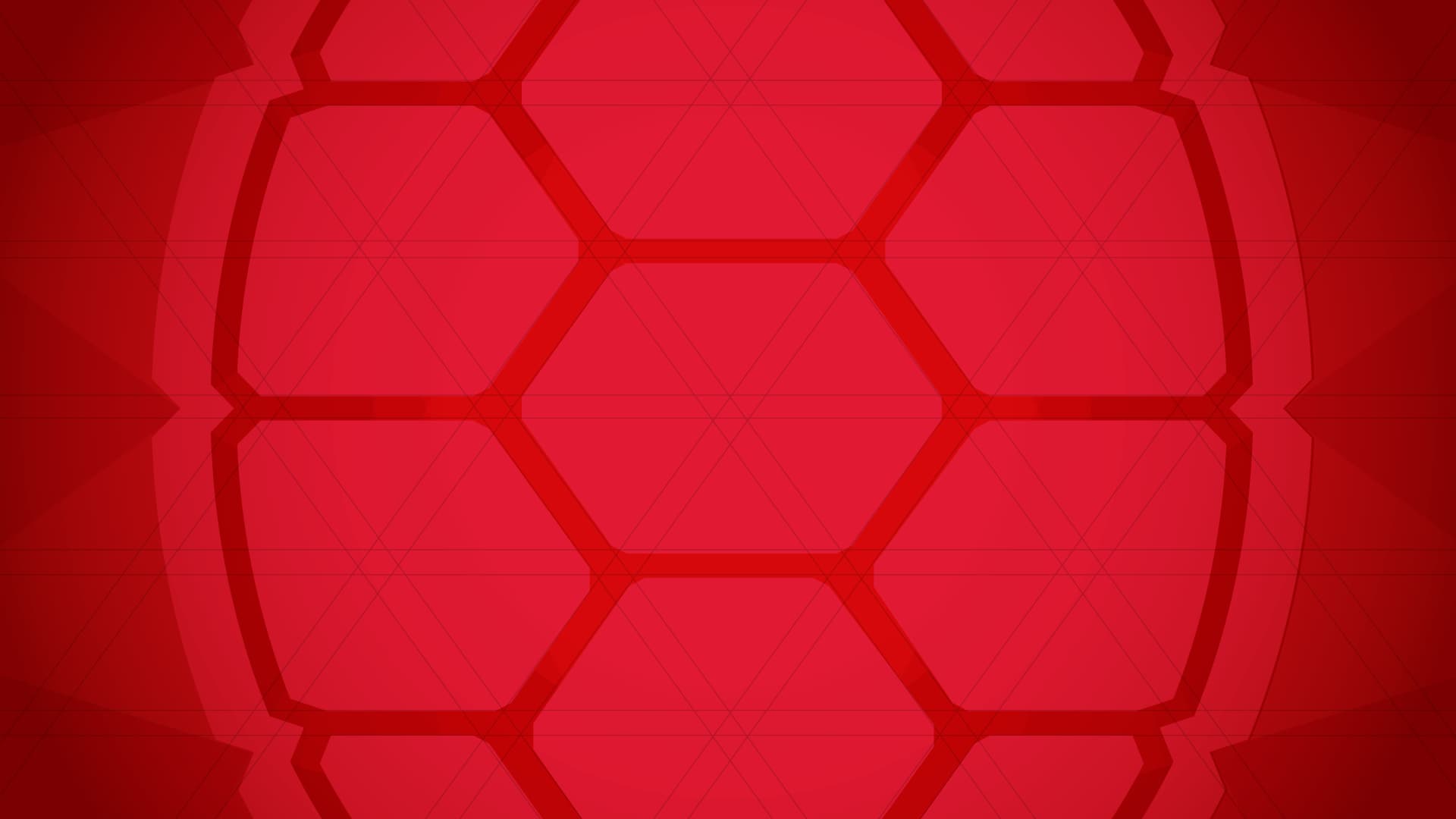 Turtle shell on red background.