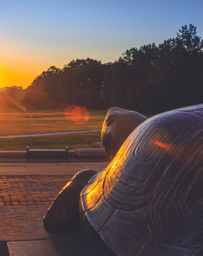 Bronze Testudo statue looking out over McKeldin Mall at sunset.