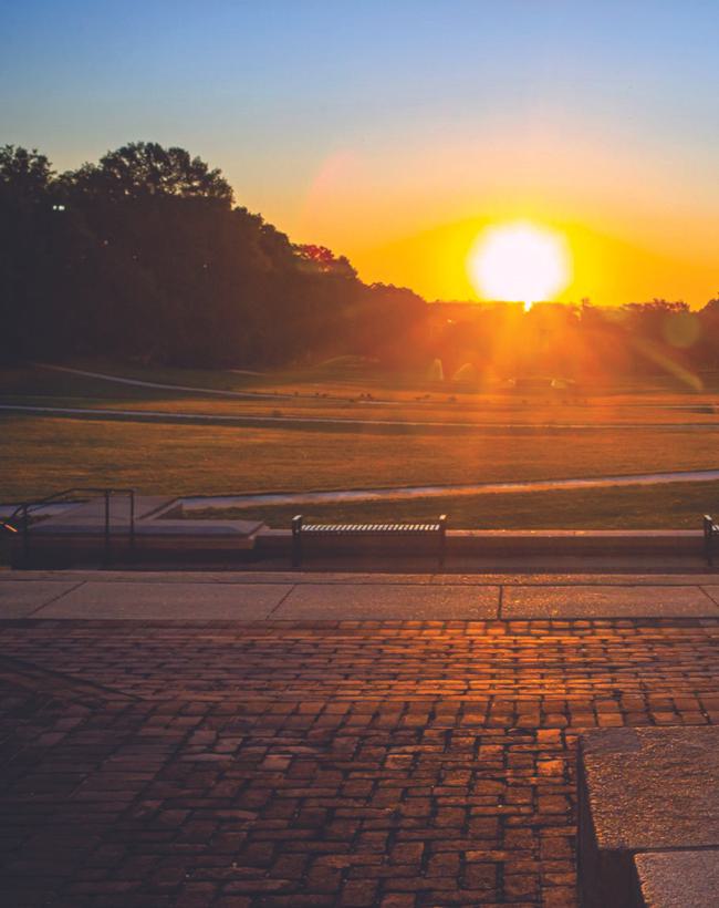 Bronze Testudo statue looking out over McKeldin Mall at sunset.