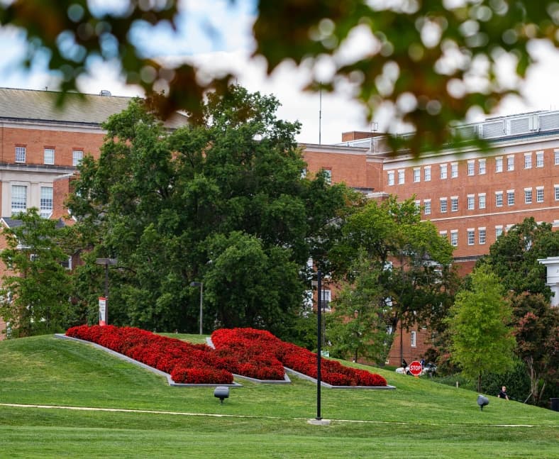 The circle with M logo