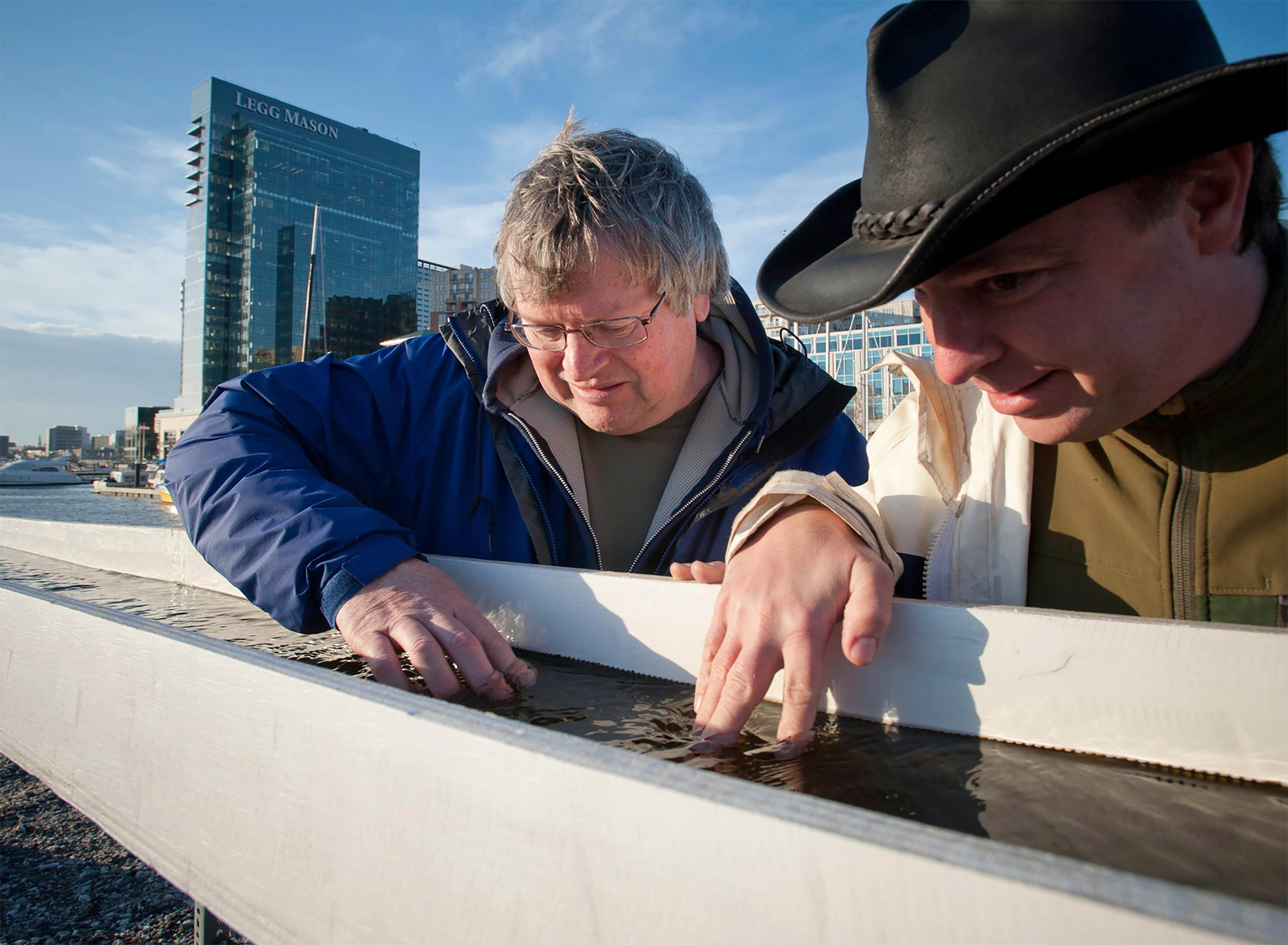 Ensure Healthy Watersheds and the Chesapeake Bay