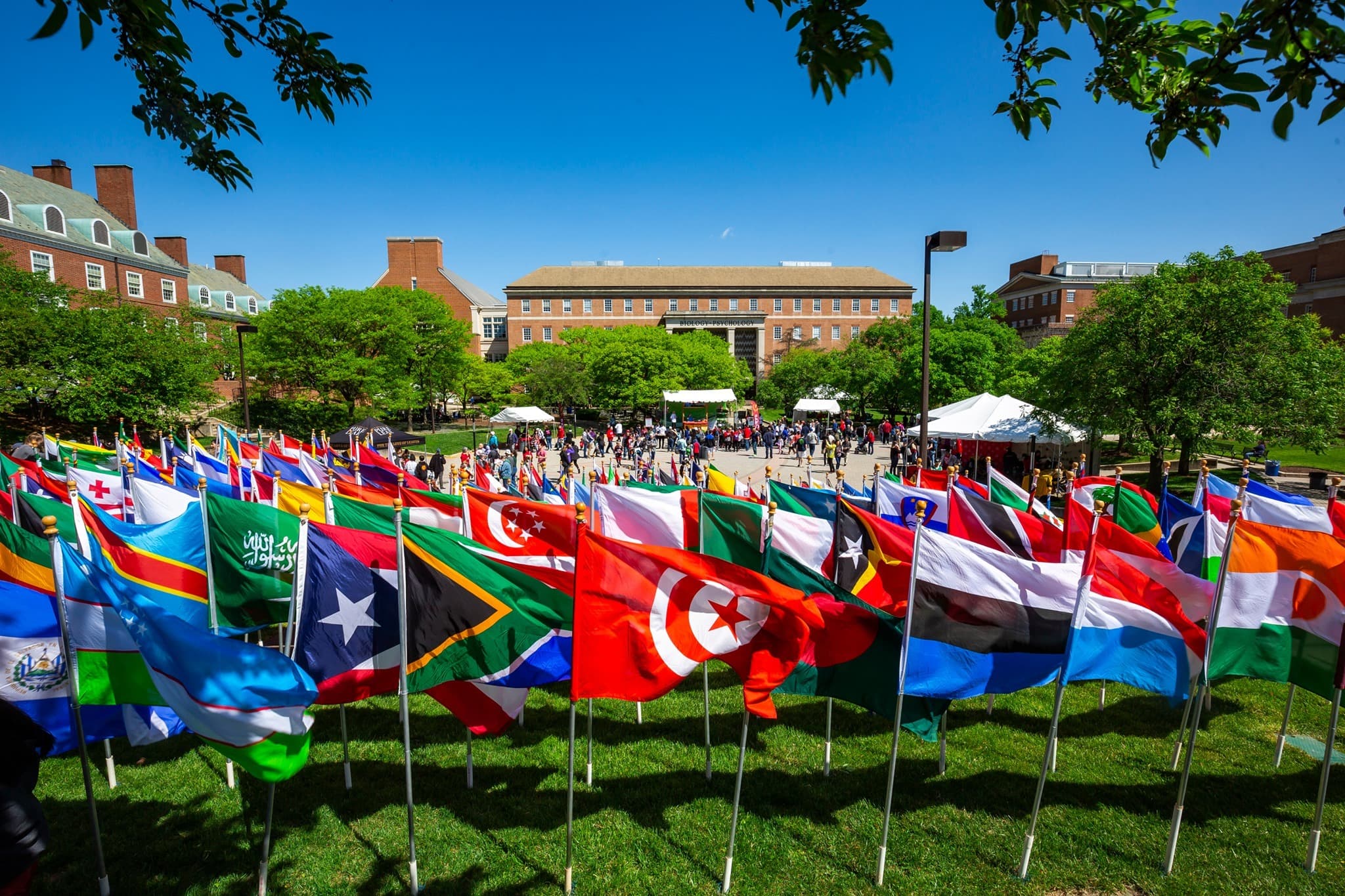 A field of flags at Maryland Day, representing the countries our international students are from.