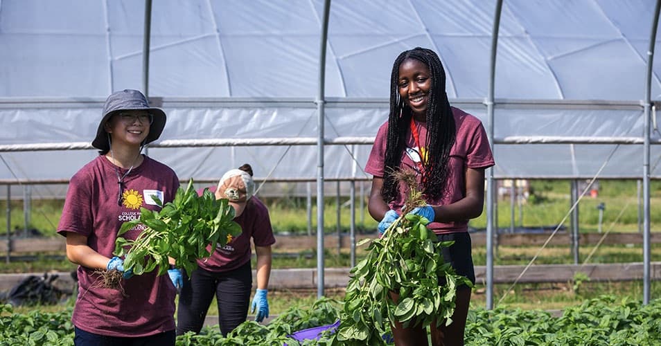 Day of service at UMD farm