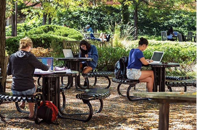 Students outdoors working on laptops