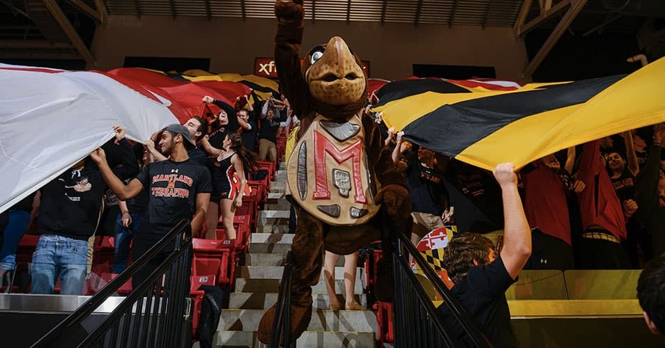 Testudo and sports fans